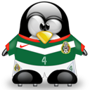 Penguin pingouin pinguino 155
